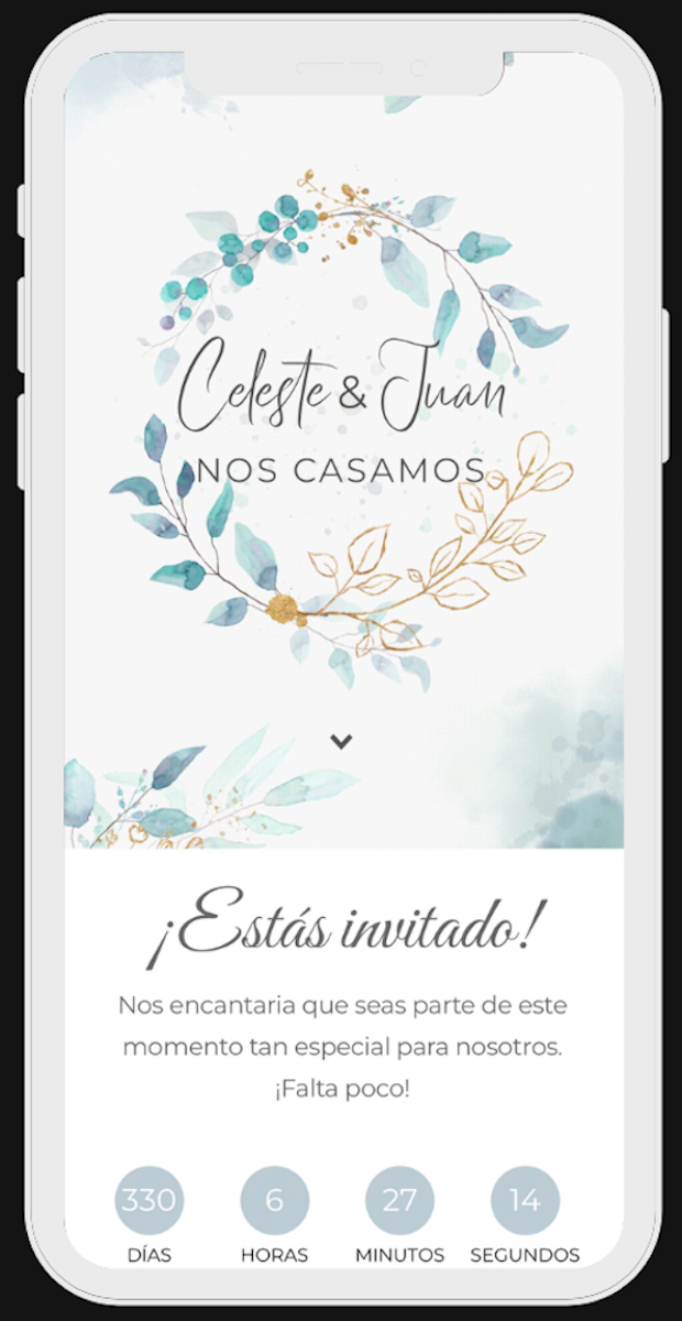 Invitación 6